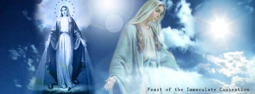 Feast of the Immaculate Conception facebook banner