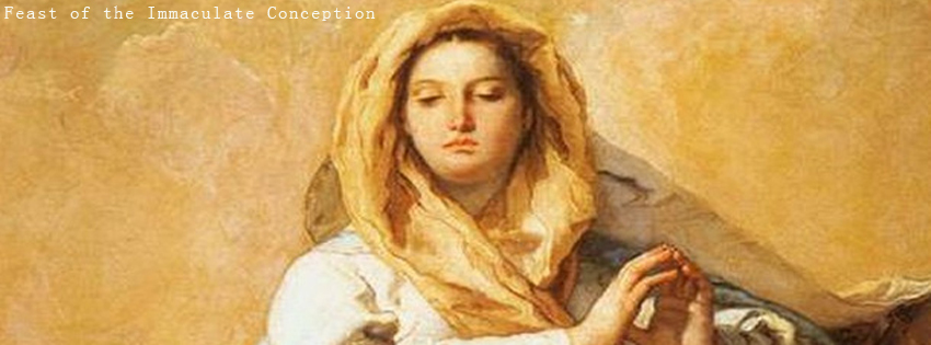 Feast of the Immaculate Conception facebook timeline cover