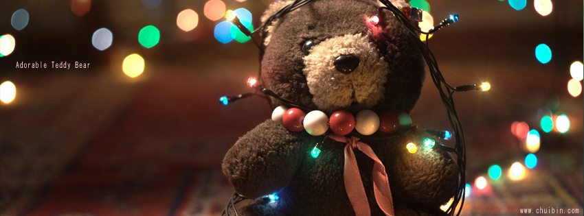 Adorable Teddy Bear facbook cover photo