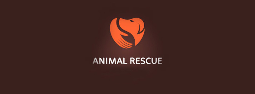 Animal rescue facebook banner images