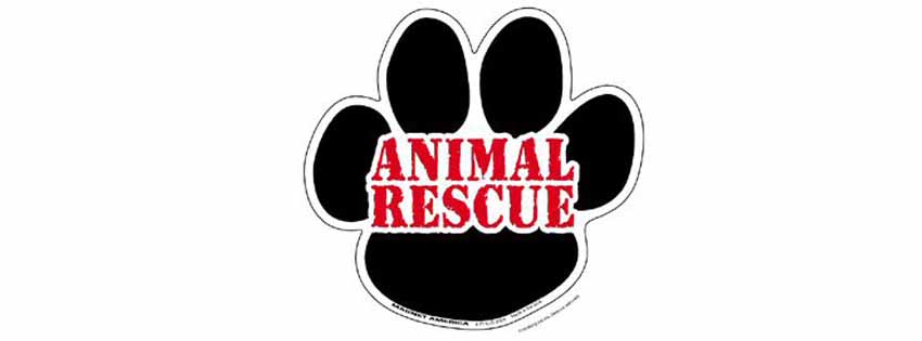Animal rescue facebook timeline cover picture