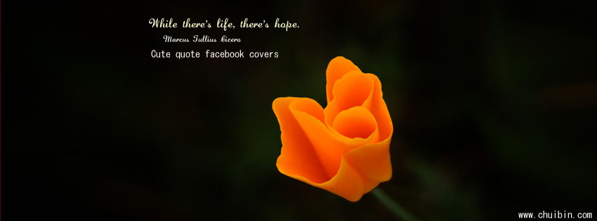 Cute quote facebook covers photo