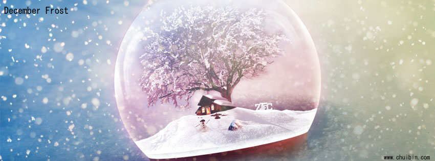 December Frost facebook cover photo