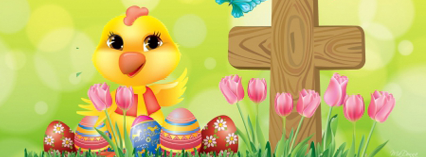 Easter chick facebook covers page