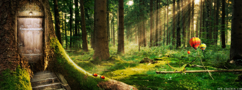 Enchanted Forest facebook cover photo
