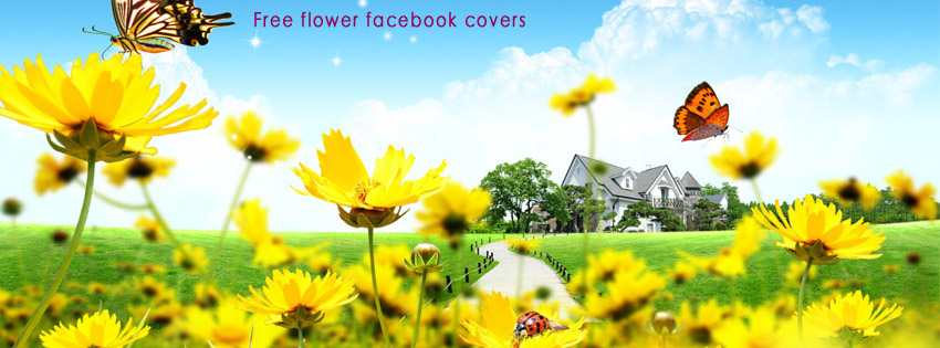 Free flower facebook covers photo