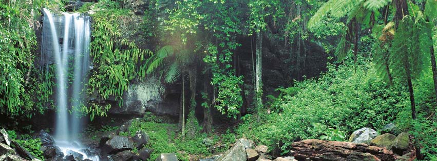 Free nature facebook covers photos