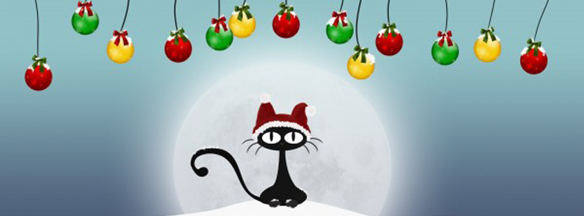 Funny christmas facebook banners photo_Timeline covers