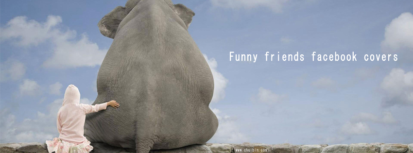 Funny friends facebook covers photo