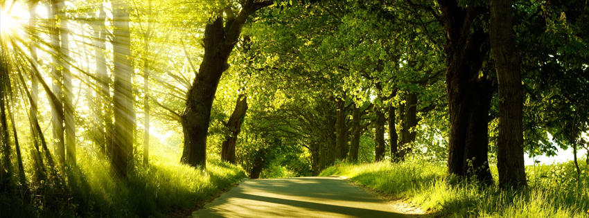 Green Nature facebook cover photo