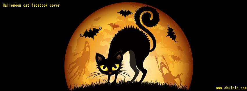 Halloween cat facebook cover photo