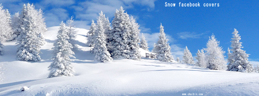 Snow facebook timeline covers photo