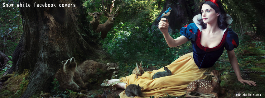 Snow white facebook covers photo