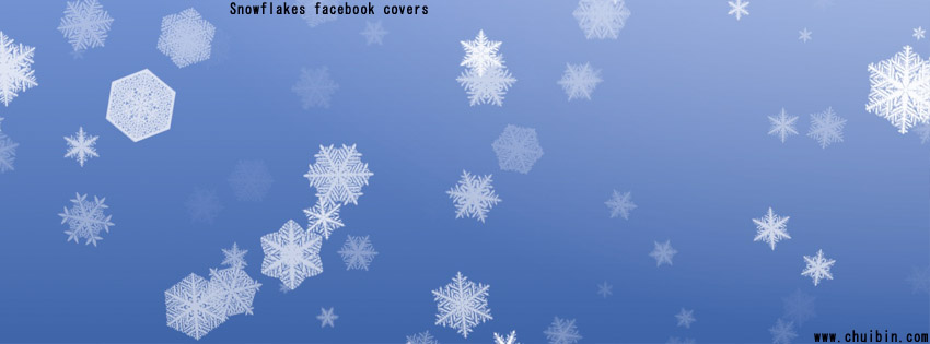 Snowflakes facebook covers photo