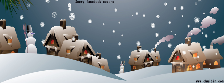 Snowy facebook covers photo