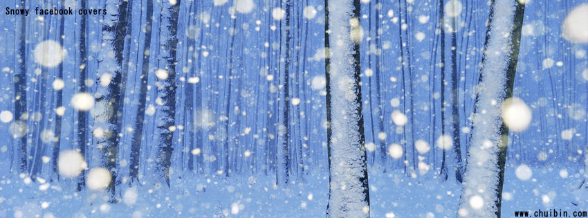 Snowy facebook profile cover images