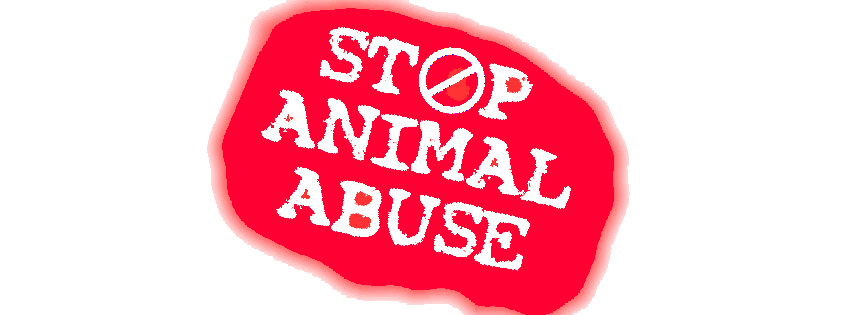 Stop animal abuse facebook cover photo