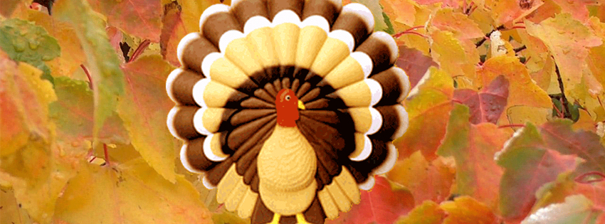 Thanksgiving turkey facebook cover photos