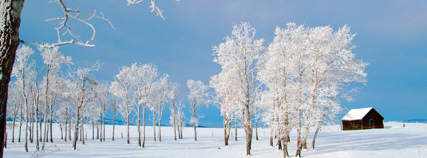 Winter facebook profile cover images