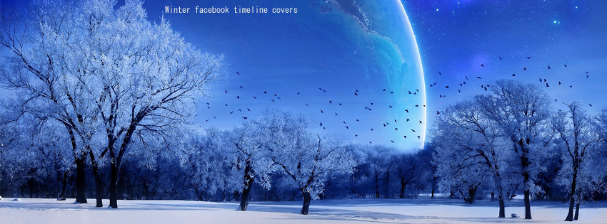 Winter facebook timeline covers photo