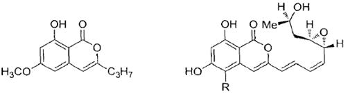 Glomellin ,paraphaeosphaerins A和chaetochiversins A