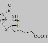 D-生物素
